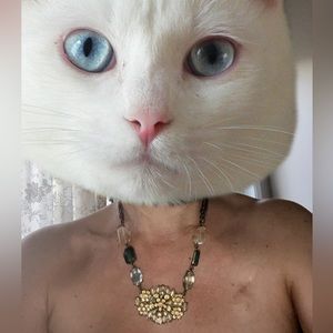 NWT-Anthropologie Bejeweled Antique Looking Chain and Stone Necklace Adjustable